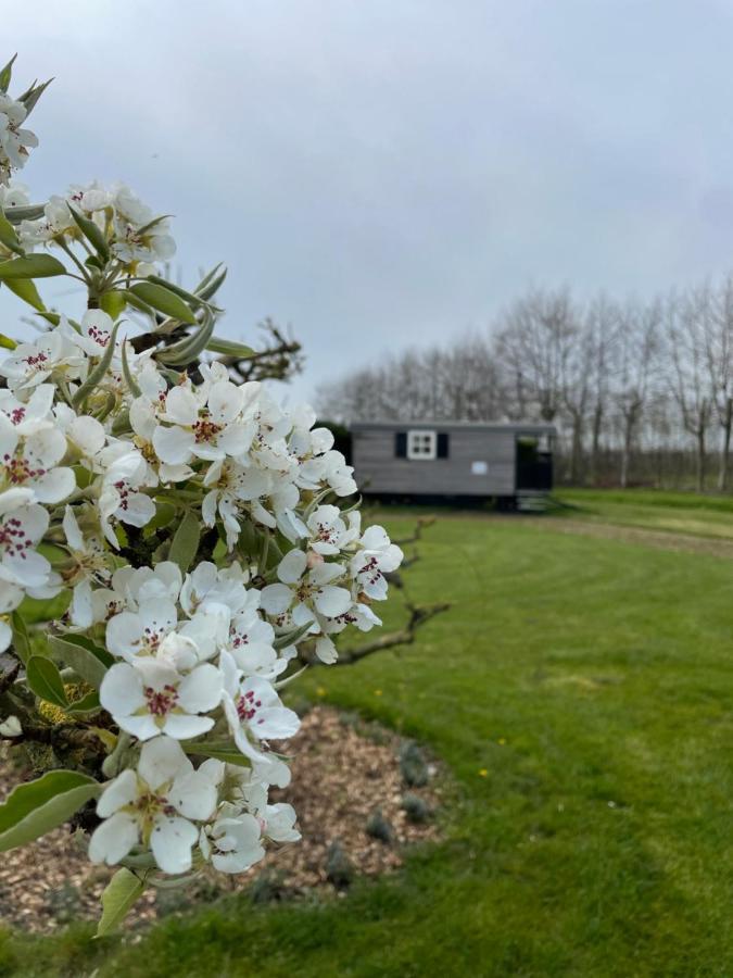 Lodge 61 Hotel Aan Het Water Medemblik Dış mekan fotoğraf