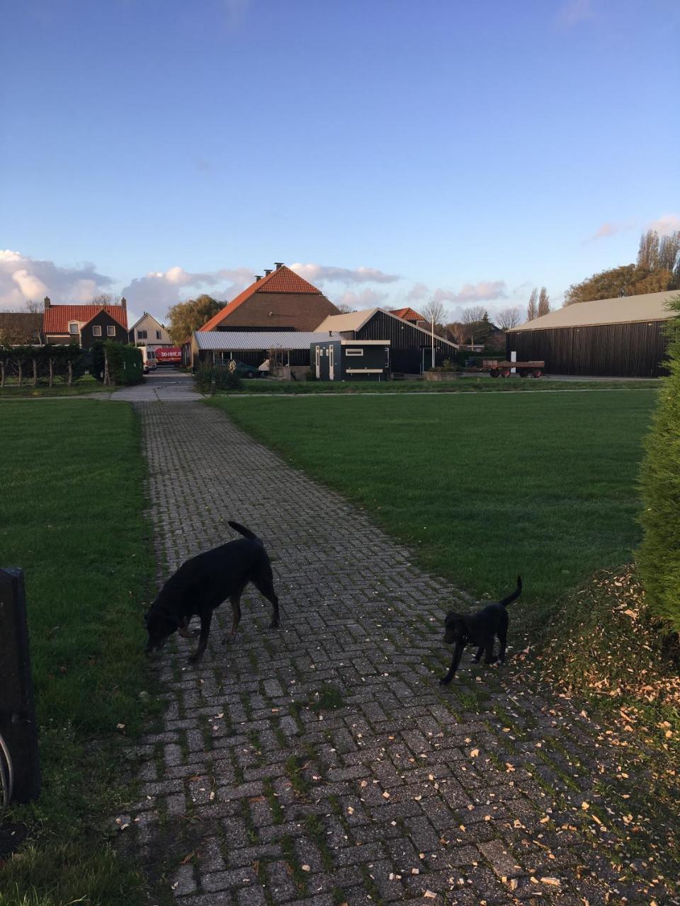 Lodge 61 Hotel Aan Het Water Medemblik Dış mekan fotoğraf